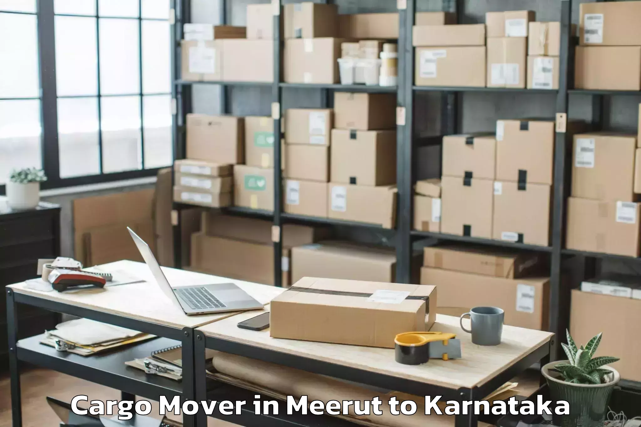 Top Meerut to Davangere University Davangere Cargo Mover Available